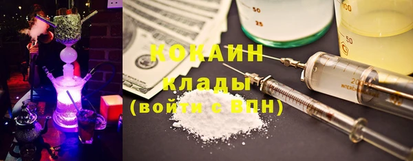 гашик Аркадак