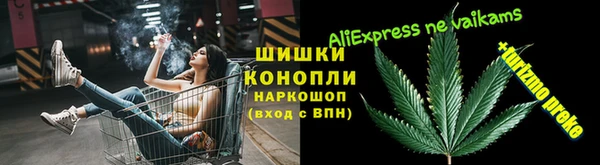 гашик Аркадак