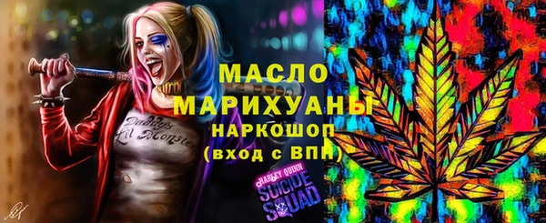 индика Нягань
