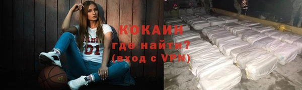 гашик Аркадак