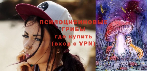 мдпв Арсеньев