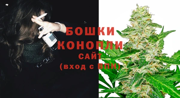 метадон Няндома