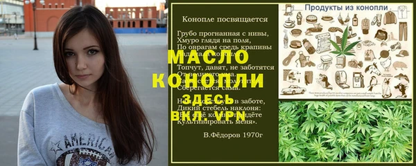 индика Нягань