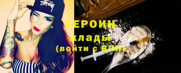 индика Нягань
